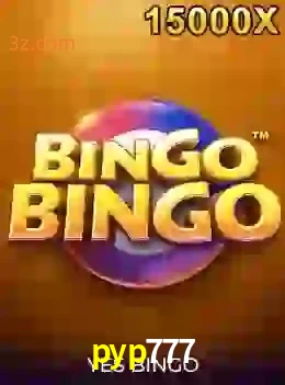 bingobingo